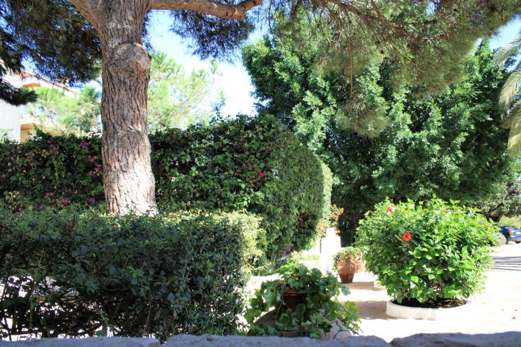 Quinta Da Ameijeira Λάγος Εξωτερικό φωτογραφία